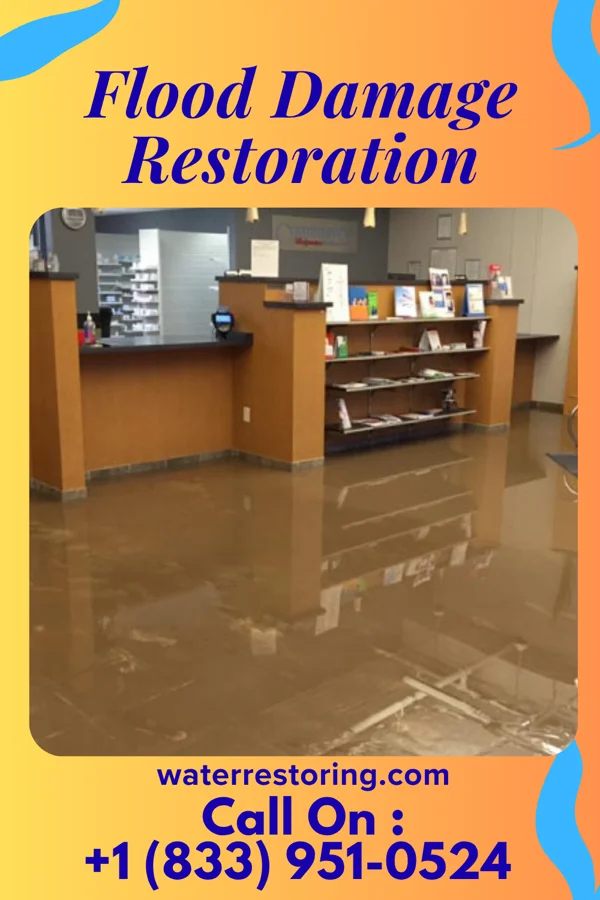 Flood Damage Restoration in Monticello, MN