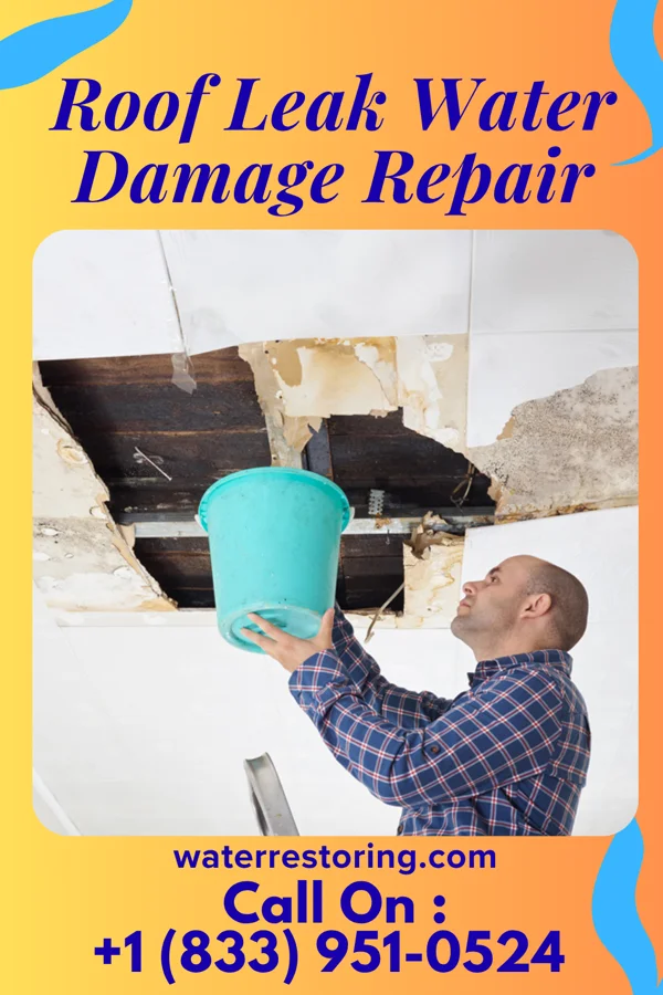 Roof Leak Water Damage Repair in Monticello, MN