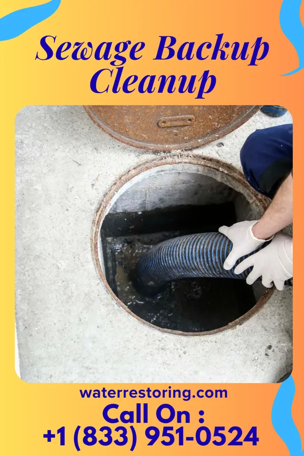 Sewage Backup Cleanup in Monticello, MN