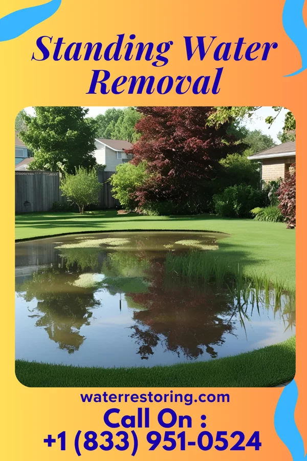 Standing Water Removal in Monticello, MN